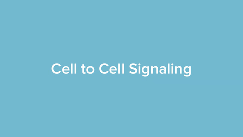 Thumbnail for Cell to Cell Signaling