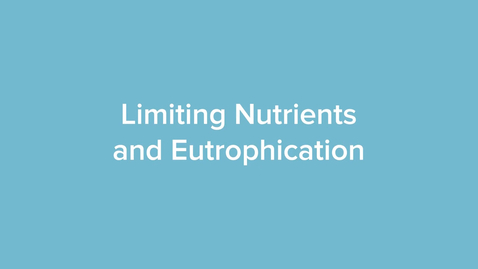 Thumbnail for Limiting Nutrients and Eutrophication