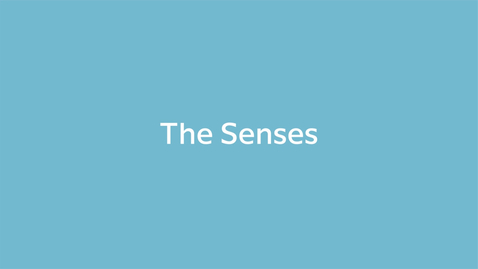 Thumbnail for The Senses