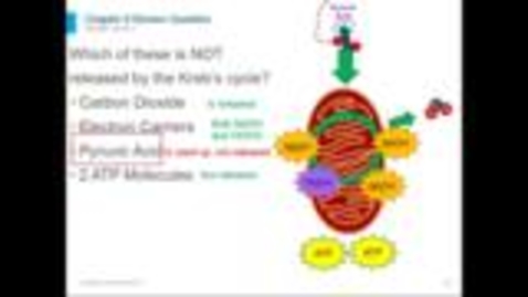 Thumbnail for Biology Chapter 9
