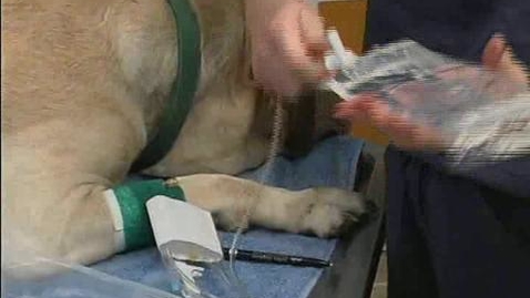 Thumbnail for Prep for Intravenous Fluids
