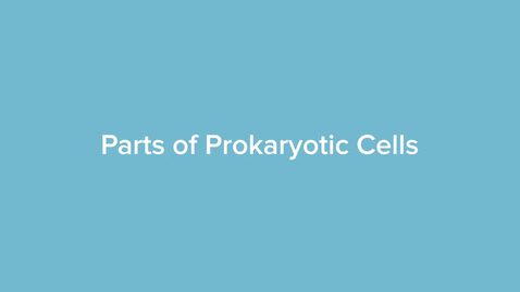Thumbnail for Parts of Prokaryotic Cells