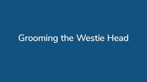Thumbnail for Grooming the Westie Head