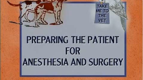 Thumbnail for Prep for Surgery/Anesthesia: Overview