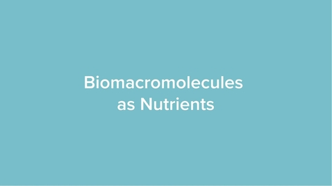Thumbnail for Biomacromolecules as Nutrients