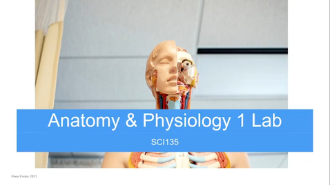 Thumbnail for How to Complete Your Lab Assignments (SCI135)