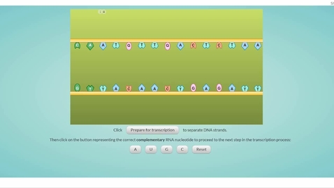 Thumbnail for DNA Transcription