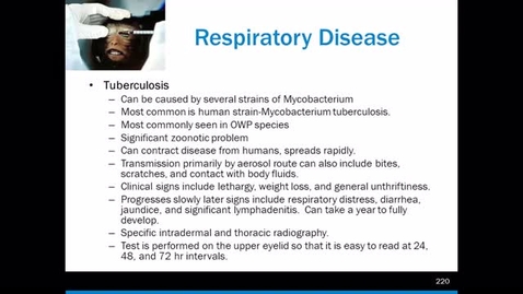 Thumbnail for Nonhuman Primates - Part 4