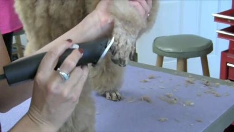 Thumbnail for Clean Foot