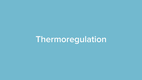 Thumbnail for Thermoregulation
