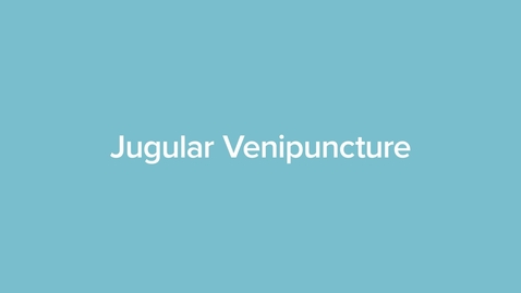 Thumbnail for Jugular Venipuncture (horse)