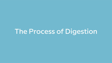 Thumbnail for The Process of Digestion