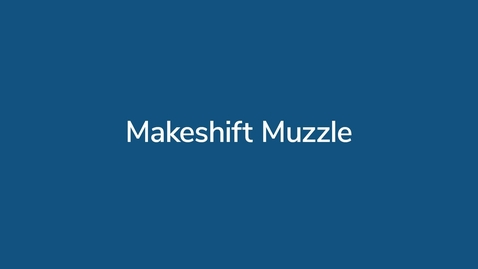 Thumbnail for Makeshift Muzzle