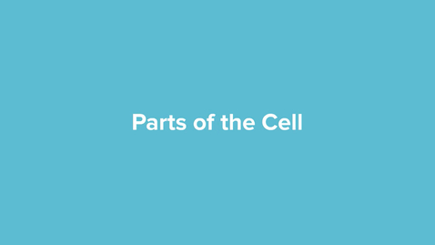 Thumbnail for Parts of the Cell