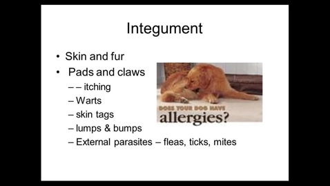 Thumbnail for Intro To Vet Tech Webinar - Body Systems Review, Part 1