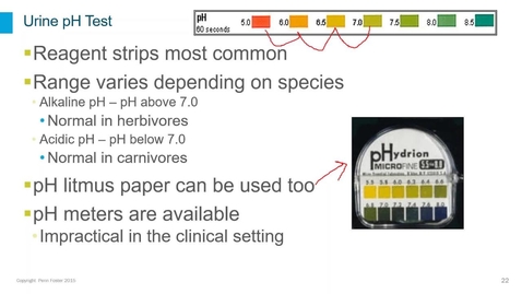 Thumbnail for Clinical Pathology 1 Webinar - Urinalysis Part 2: Chemical Exam, Part 1
