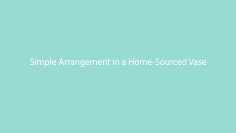 Thumbnail for DZ25- Simple Arrangement in a Home-Sourced Vase