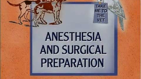 Thumbnail for Prep for Sterile Procedures: Overview