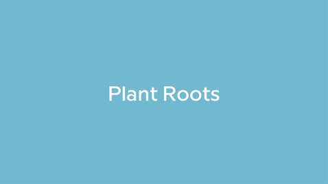 Thumbnail for Plant Roots