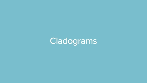 Thumbnail for VID00674 Cladograms