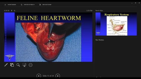 Thumbnail for Surgical Anatomy - Cardiovascular and Respiratory Systems
