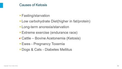 Thumbnail for Clinical Pathology 1 Webinar - Urinalysis Part 2: Chemical Exam, Part 2