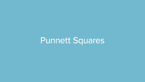 Thumbnail for Punnett Squares