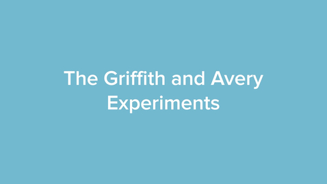 Thumbnail for The Griffith and Avery Experiments