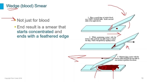 Thumbnail for Cytology Slide Preparations