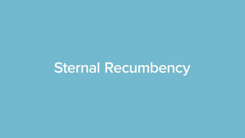 Thumbnail for Sternal Recumbency