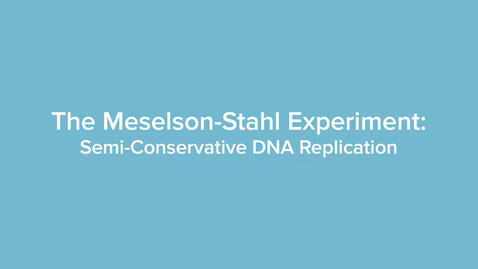 Thumbnail for Meselson-Stahl Experiments