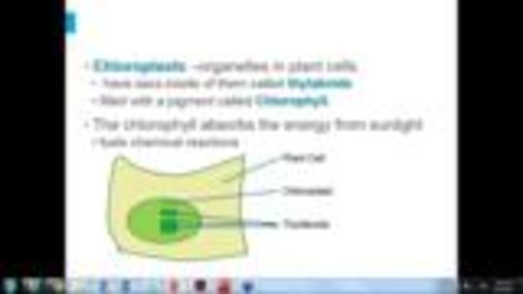 Thumbnail for Biology Chapter 8