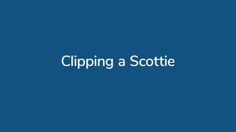 Thumbnail for Clipping a Scottie