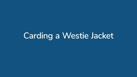 Thumbnail for Carding a Westie Jacket