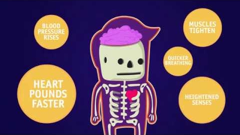 Thumbnail for Stress 101 - Understanding Stress and How to Manage It - HealthTexas Medical Group
