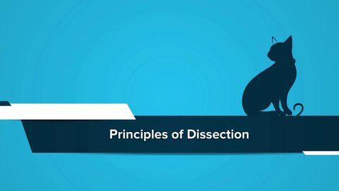 Thumbnail for Principles of Dissection 