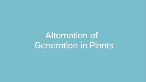 Thumbnail for Alternation of Generation in Plants