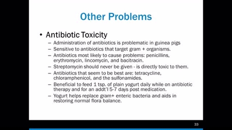 Thumbnail for The Guinea Pig - Part 3