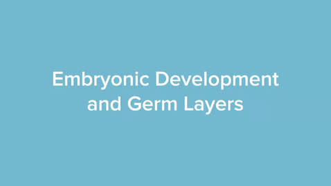 Thumbnail for Embryonic Development and Germ Layers