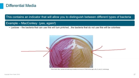 Thumbnail for Clinical Pathology Webinar - Lesson 3:  Microbiology Bacterial Culture Media