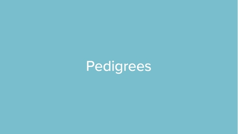 Thumbnail for Pedigrees