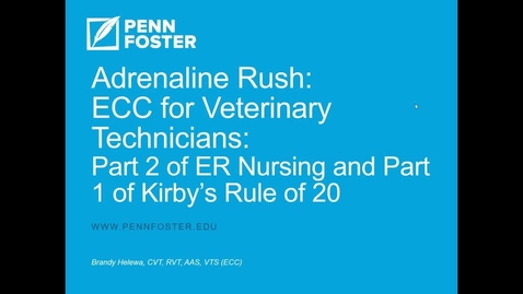 Thumbnail for Adrenaline Rush! Webinar, Kirby's Rules Part 1, VET110 Medical Nursing for Vet Techs 