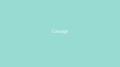 Thumbnail for DZ46E- Corsage