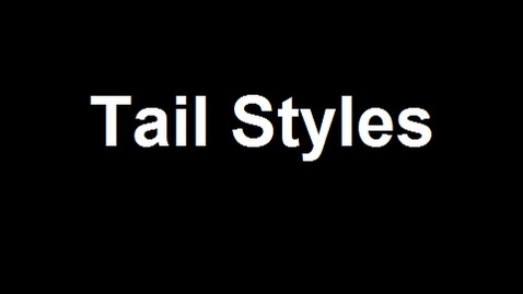Thumbnail for Poodle Tail