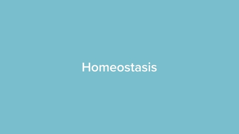 Thumbnail for Homeostasis