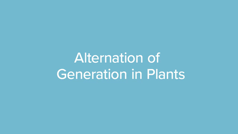 Thumbnail for Alternation of Generation in Plants