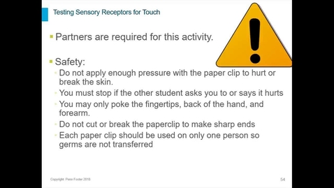 Thumbnail for Testing Sensory Receptors for Touch Introduction