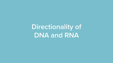 Thumbnail for Directionality of DNA and RNA