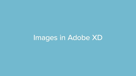 Thumbnail for QZ07H Images in Adobe XD