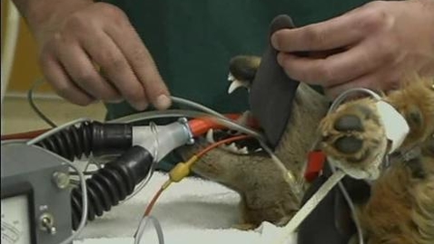 Thumbnail for Prep the Monitoring Equipment